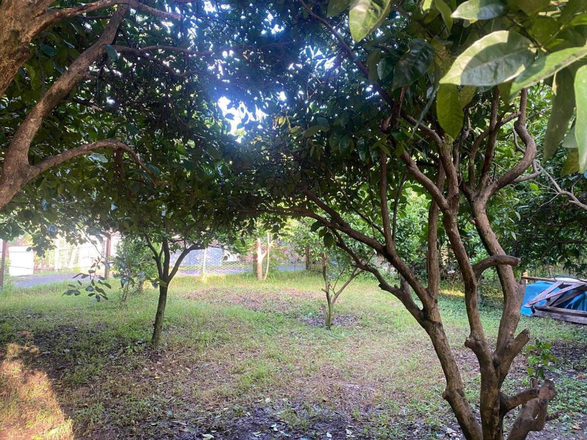 Orange Villa Gonio Ngoại thất bức ảnh